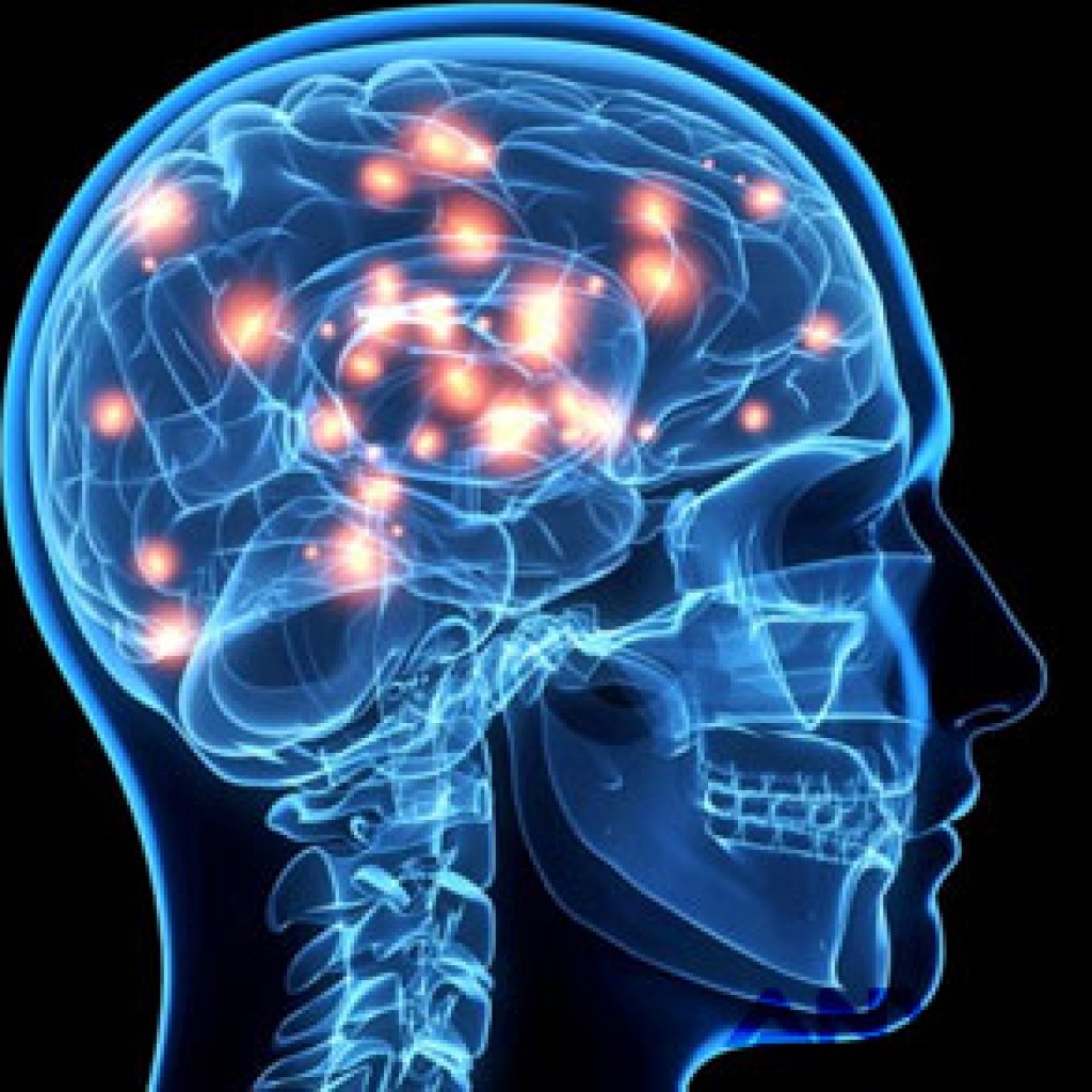 Info tentang Mengejutkan! Berdasarkan Hasil Penelitian, Otak Manusia Membangun Strukturnya Dalam 11 Dimensi dari ANY.web.id